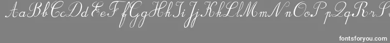 Шрифт BvRondesItal – белые шрифты на сером фоне