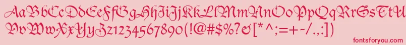 TudorScriptSsi Font – Red Fonts on Pink Background