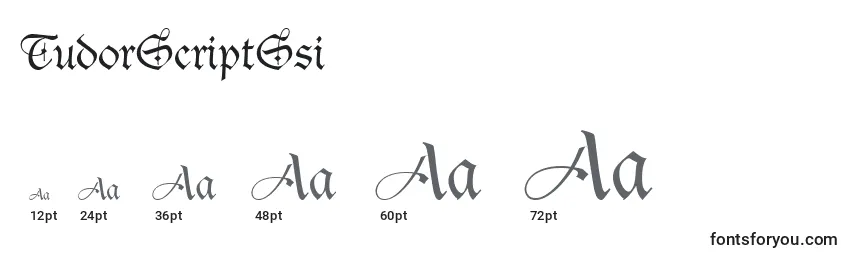 TudorScriptSsi Font Sizes