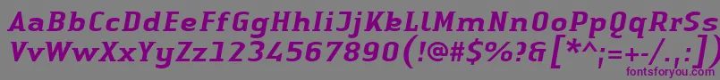 LinotypeAuthenticSmallSerifMediumit Font – Purple Fonts on Gray Background