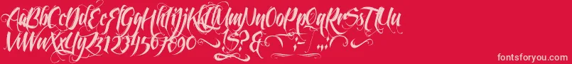 FeathergraphyDecoration Font – Pink Fonts on Red Background