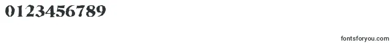 フォントRiccionerandomXboldRegular – 数字と数値のためのフォント