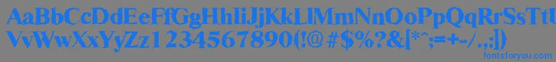 フォントRiccionerandomXboldRegular – 灰色の背景に青い文字