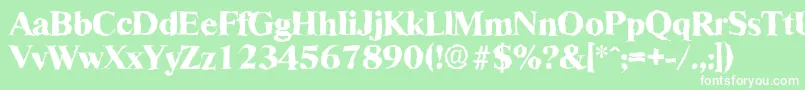RiccionerandomXboldRegular Font – White Fonts on Green Background