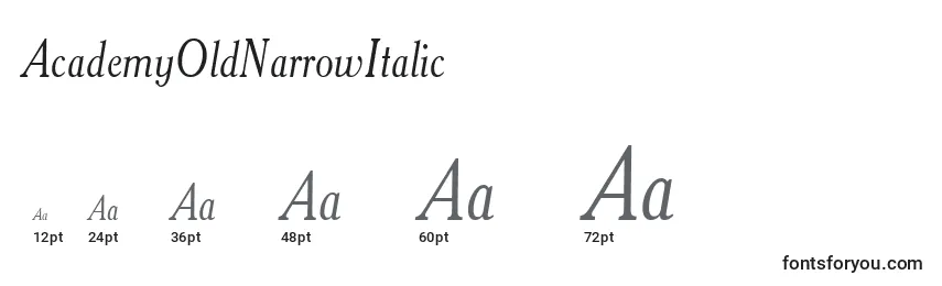 Размеры шрифта AcademyOldNarrowItalic