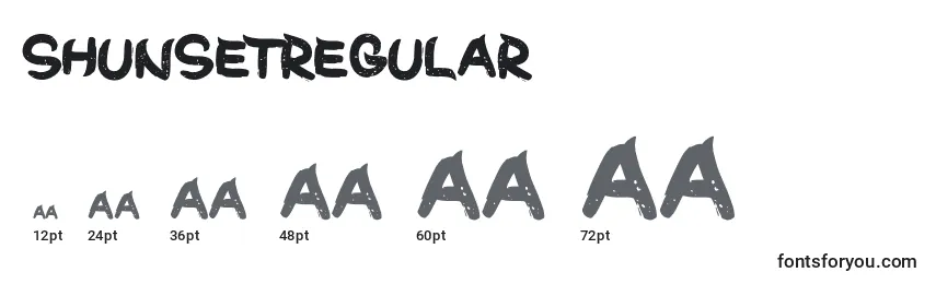 Размеры шрифта ShunsetRegular