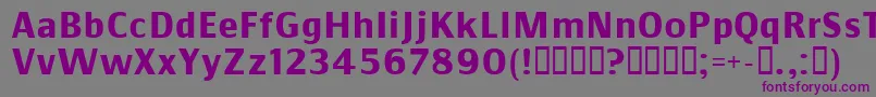 Commsb-fontti – violetit fontit harmaalla taustalla