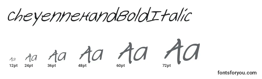 Размеры шрифта CheyenneHandBoldItalic