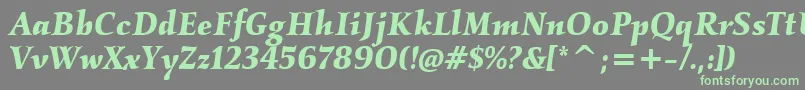 KallositcTtBolditalic Font – Green Fonts on Gray Background