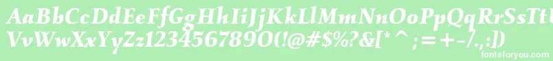 KallositcTtBolditalic Font – White Fonts on Green Background