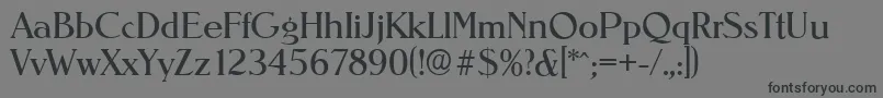 NevadaserialRegular Font – Black Fonts on Gray Background