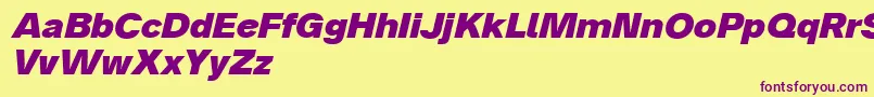 Analogue86blackoblique Font – Purple Fonts on Yellow Background