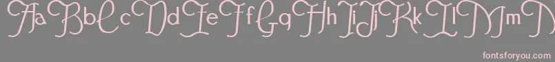 Festivalflourish Font – Pink Fonts on Gray Background