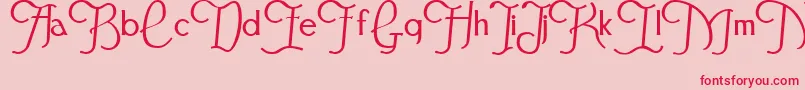 Festivalflourish Font – Red Fonts on Pink Background