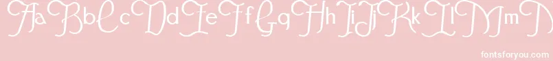 Festivalflourish Font – White Fonts on Pink Background