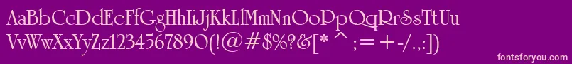 UniversityRomanBoldBt Font – Pink Fonts on Purple Background