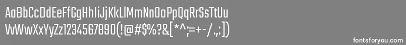 フォントTekoLight – 灰色の背景に白い文字