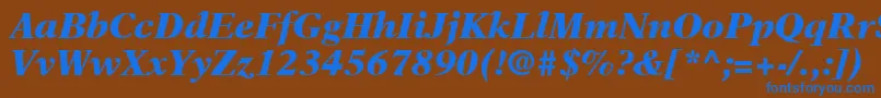 NewAsterLtBlackItalic Font – Blue Fonts on Brown Background