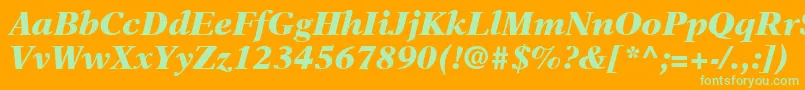 NewAsterLtBlackItalic Font – Green Fonts on Orange Background