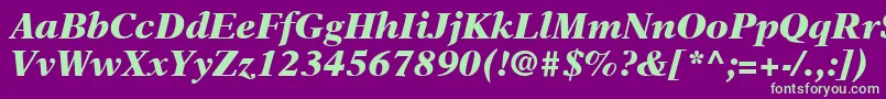 NewAsterLtBlackItalic Font – Green Fonts on Purple Background