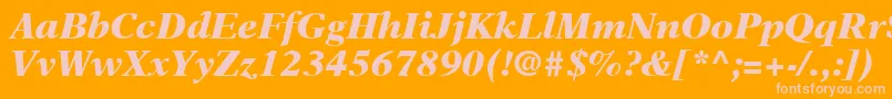 NewAsterLtBlackItalic Font – Pink Fonts on Orange Background