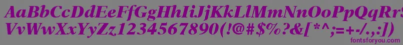 NewAsterLtBlackItalic Font – Purple Fonts on Gray Background