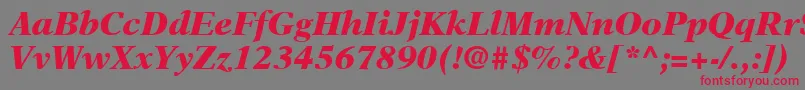 NewAsterLtBlackItalic Font – Red Fonts on Gray Background