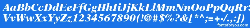 フォントNewAsterLtBlackItalic – 青い背景に白い文字