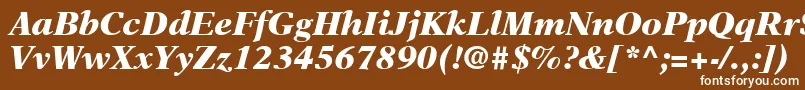 NewAsterLtBlackItalic-Schriftart – Weiße Schriften auf braunem Hintergrund