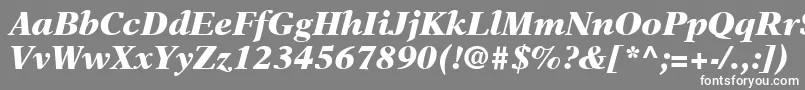 NewAsterLtBlackItalic-fontti – valkoiset fontit harmaalla taustalla