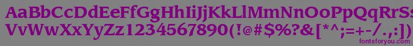 Шрифт Slingbold – фиолетовые шрифты на сером фоне