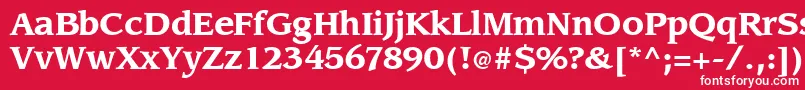 Slingbold Font – White Fonts on Red Background