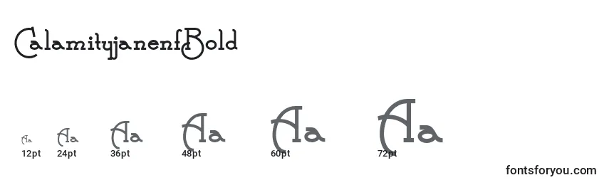Größen der Schriftart CalamityjanenfBold (30521)