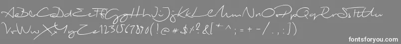 フォントBiloxiScript – 灰色の背景に白い文字