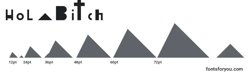 Размеры шрифта HolaBitch