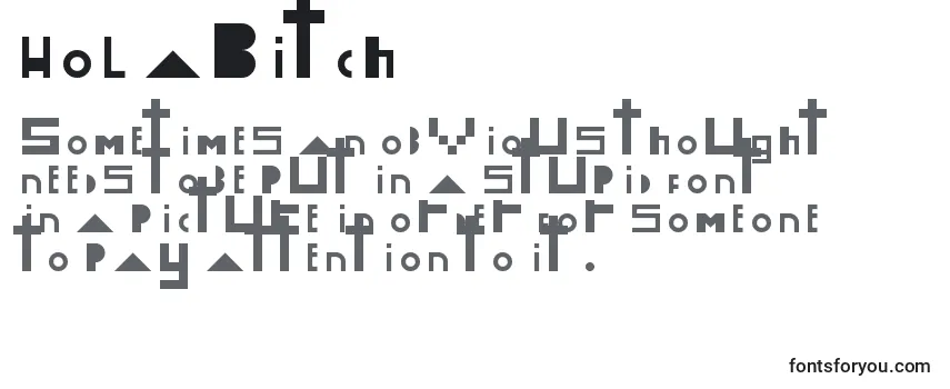 Обзор шрифта HolaBitch