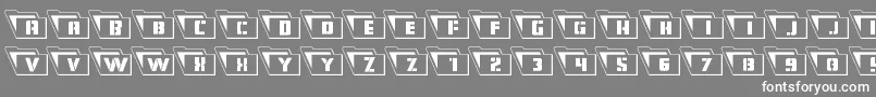 Eyesonlyoutleft Font – White Fonts on Gray Background