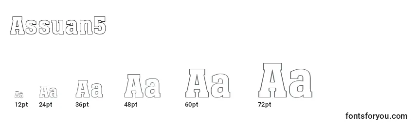 Assuan5 Font Sizes