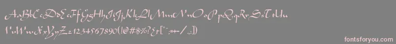 フォントArabianNormal – 灰色の背景にピンクのフォント