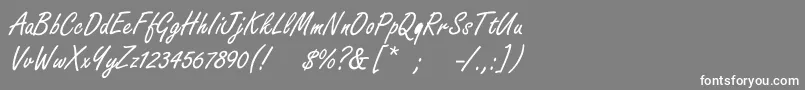 フォントBoldstylescript – 灰色の背景に白い文字