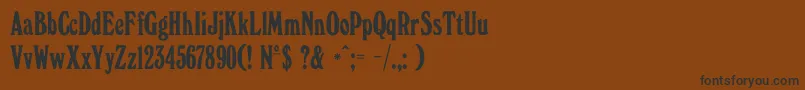 WindsorelongatedDgRegular Font – Black Fonts on Brown Background