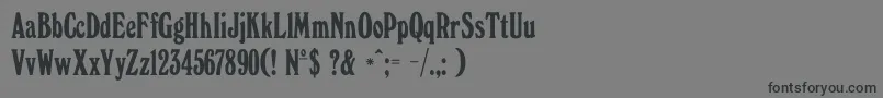 Шрифт WindsorelongatedDgRegular – чёрные шрифты на сером фоне