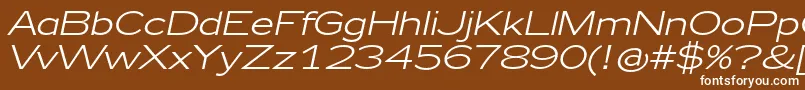 フォントZeppelin41Italic – 茶色の背景に白い文字