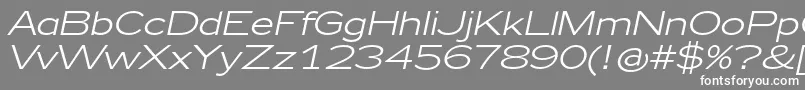 Zeppelin41Italic Font – White Fonts on Gray Background
