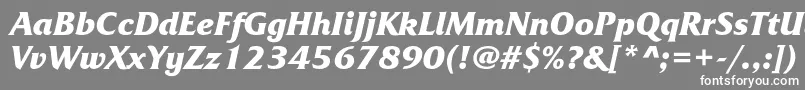 フォントFrizquadratacBolditalic – 灰色の背景に白い文字