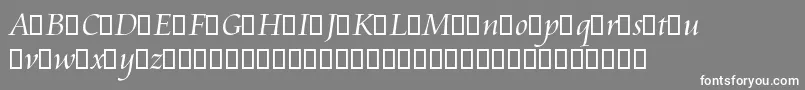 フォントAramisTrialRegular – 灰色の背景に白い文字