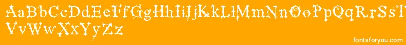 VtksBlackLabelNormal Font – White Fonts on Orange Background