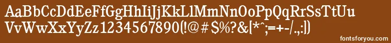 CalgaryserialRegular Font – White Fonts on Brown Background