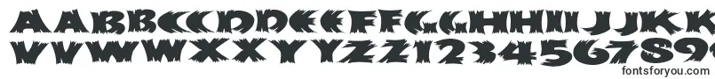 Klitschkotiqua Font – Fonts for Corel Draw