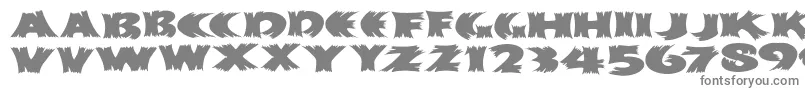 Klitschkotiqua-fontti – harmaat kirjasimet valkoisella taustalla